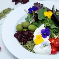 Insalata Mista Con Burrata · Vegetarian. Organic mesclun salad with cherry tomatoes, pumpkin seeds, cranberries, walnuts,...