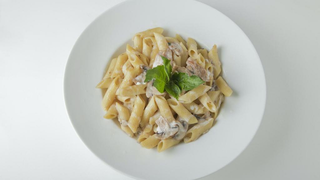 The Alfredo Pasta · Penne pasta cooked in creamy white sauce and aged parmesan sitting on a bed of pasta.