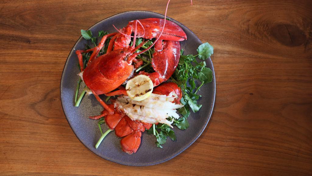 Maine Lobster · (Grilled) available in 1.5,
seasoned with herb butter, Hollandaise sauce