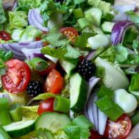 Garden Salad · 