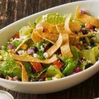 House Salad · A crisp blend of lettuce & shredded cabbage and pico de gallo. Topped with crispy tortilla s...