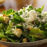 Caesar Salad · Vegetarian. Romaine lettuce and croutons dressed with parmesan cheese & caesar dressing