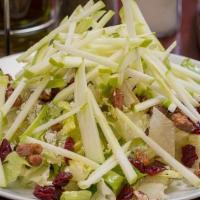 Large Apple Salad · Romaine, apples, candied pecans, Gorgonzola, dried cranberries, apple cider dressing.