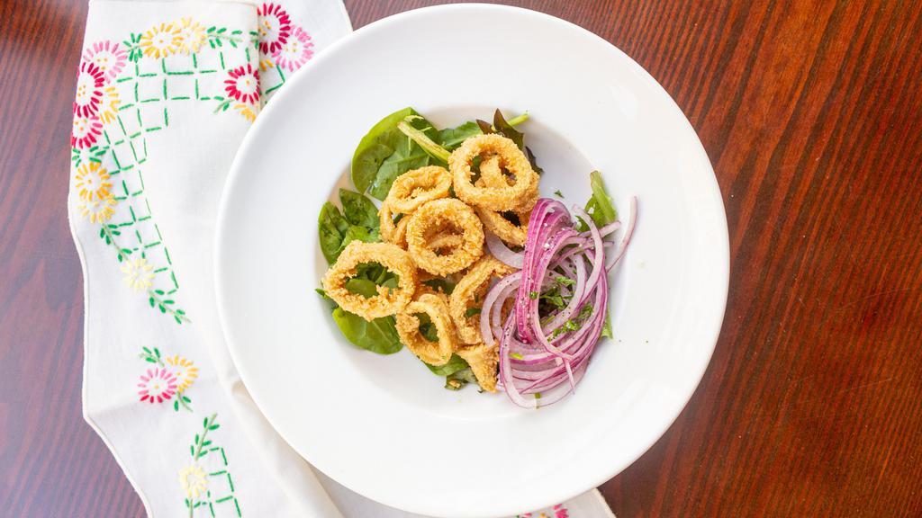 Fried Calamari · Tubes only. Served with salsa criolla.