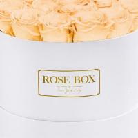Medium White Box · Medium box with 22-25 Extra Large long-lasting roses.