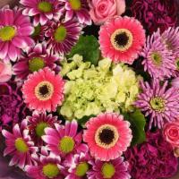 Provence Collection Bouquet · Mini Green hydrangea surounded by Picolini gerbera daisies and roses in assorted colors. Col...