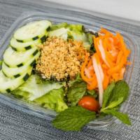 Green Salad · Lettuce, cucumber, plum tomatoes, mint leaves and julienne carrots topped with fried red oni...