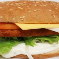 Fish Sandwich With Cheese · Come with lettuce, tomato, onion, ketchup, mayo, tartar sauce and American cheese.