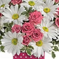Teleflora'S Polka Dots & Posies · Polka dots and posies, they're the perfect pair. Well, at least in this pretty arrangement t...