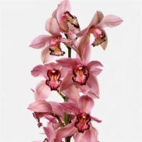 Pink Cymbidium Orchid  · 1 LARGE (PINK)PREMIUM FRESH CUT CYMBIDIUM ORCHID WITH GREENS AND FILLERS 
HAVE A QUESTION CA...