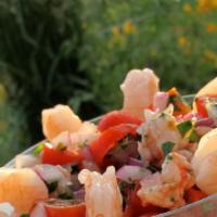 Shrimp Ceviche · shrimp, onions, fresh lime juice, cilantro