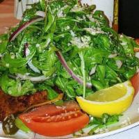 Arugula Salad · Tomato, red onion, parmigiano, and lemon vinaigrette.