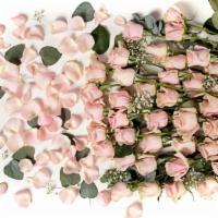 2 Dozen Light Pink Bouquet · Color: Light Pink.  Size: 24 stems