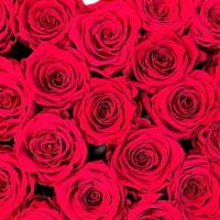 Ann Marie’S Heart Shaped Forever Real Roses  · New Products Our Here ❗️

Luxury Forever Eternal Roses 
100 % Real Roses 

Our Roses have be...