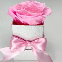 Ann Marie’S Luxury Forever Rose Gift  Bridal.  Or Any  Occasion  · New Products Our Here ❗️

Luxury Forever Eternal Roses 
100 % Real Roses 

Our Roses have be...