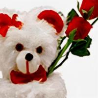 Teddy Bear & Rose Arrangement · Send this adorable little white teddy with 3 enchanting special roses , and someone special ...