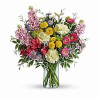 Goodness And Light Bouquet · This beautiful bouquet includes red alstroemeria, light yellow carnations, pink stock, hot p...