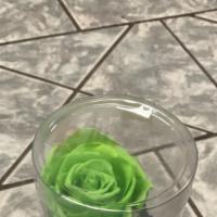 Rosa Preservada  Verde  · 