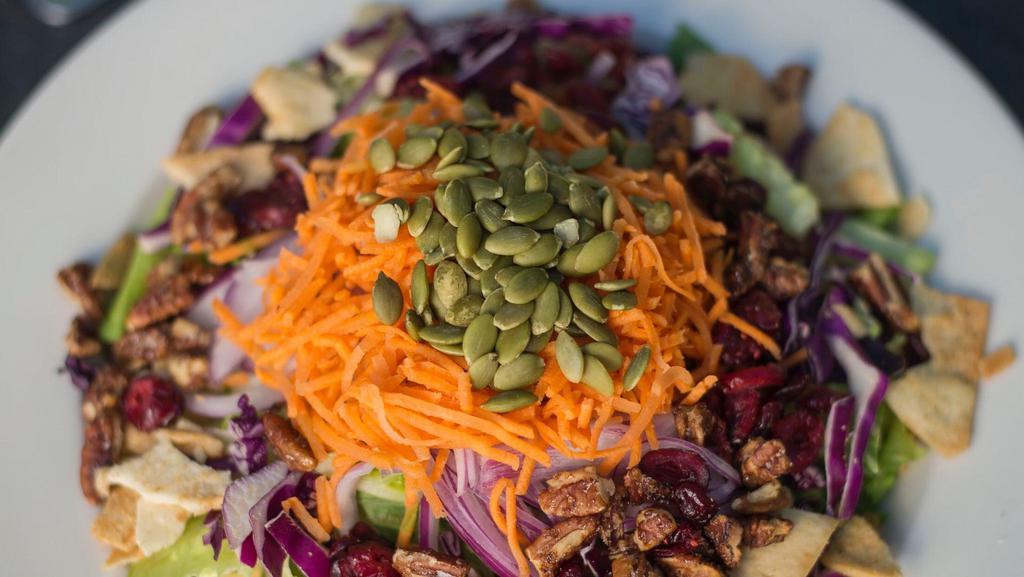 Krave Special Salad · Red cabbage, romaine lettuce, carrots, red onion, pumpkin seeds, honey pecans, cranberries, pita chips, and cilantro with fig cilantro vinaigrette.