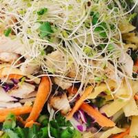 Asian Chopped Salad · Red and green cabbage, tomatoes, scallions, carrots, sprouts crispy wontons, garden greens w...