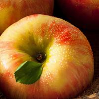 Honey Crisp Apples - 5Lb · Firm, tart, sweet, very crisp, ultimate snacking apple.