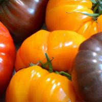 Heirloom Tomatoes - Each · Unique, vibrant, juicy.  1 Tomato = 1.88lb