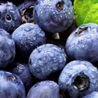 Organic Blueberries - Pint · Organic blueberries
