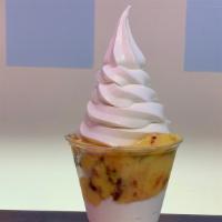 Regular Twister (9Oz) · Choice of Vanilla or Chocolate or Twist soft serve and any flavor of water or creme ices.