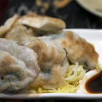 Pan Fried Dumpling (6) · 6 pieces.