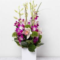 Santos Dream · *Vases may vary*Due to high volume*  Arrangement w/ orchids w/ white cube vase