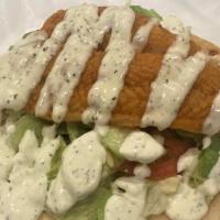 Fish Gyro · Fish in a pita with Salad and your choice of sauce