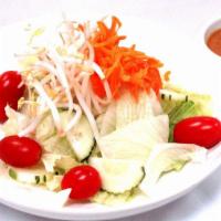 Thai Salad · Nut. Lettuce / cucumber / tomato / bean sprout / carrot / peanut dressing
