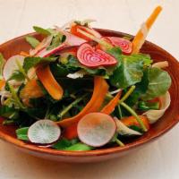 Spring Market Salad · local vegetables, market greens, soft herbs, red wine-citrus vinaigrette