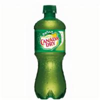 Ginger Ale (20Oz) · Ginger Ale (20oz)