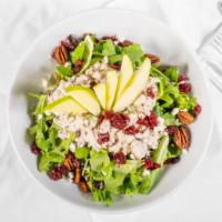 Cranberry Pecan Chicken Salad · Marinated grilled chicken diced and tossed with celery, sweet onions, sour cream, and whole ...