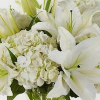White Flowers  · Arrangement with 
white flowers in a base