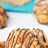 Fresh Gourmet Belgian Chocolate Dipped Coconut Macaroon · If you are a coconut lover, you are in the right place! We can promise you that these will s...