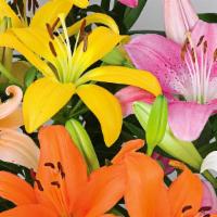 Mixed Lilies Bouquet · A classic bouquet of mixed colored lilies with baby's breath greenery and wrapped in a clear...