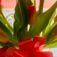 Just Tulips  · Tulips in a vase with a bow . (Container may vary )