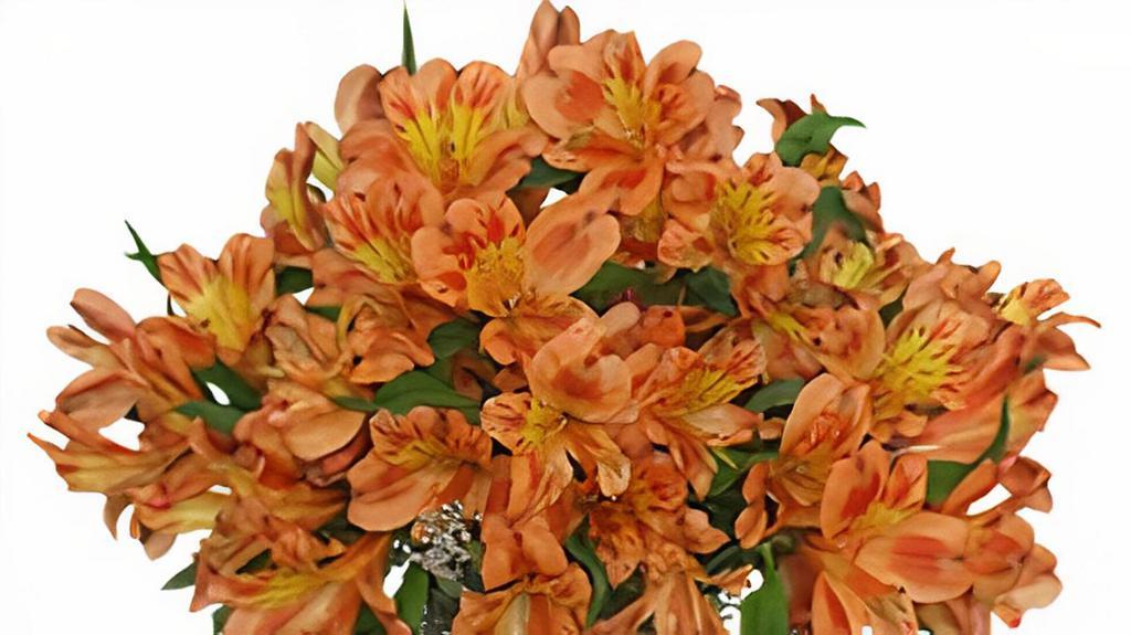 Persimmon Grove Fall Flowers · 