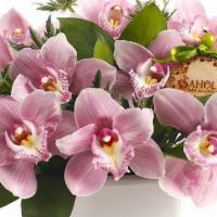 Splash Of Orchids · Timeless elegant pink cymbidium orchids in a white cubic vase with a touch of berries and th...
