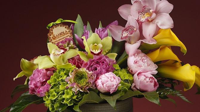 Blossom · Blossom – featuring orchids, peonies, Callas, tulips, hydrangeas.