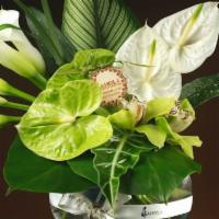 Zen · Modern luxury arrangement. White Callas, green and white anthuriums, green cymbidium orchids...