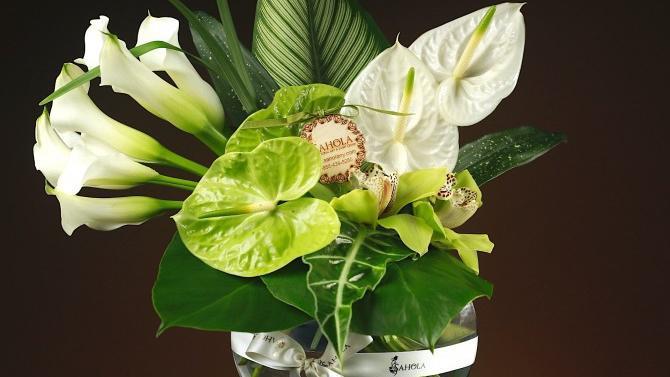 Zen · Modern luxury arrangement. White Callas, green and white anthuriums, green cymbidium orchids. Unique vase. A perfect gift to congratulate or thank someone.