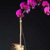 Purple Orchid In Gold Pot · Purple phalaenopsis orchid in a gold pot with a gold bird.