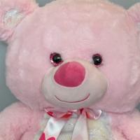 Pink Teddy Bear  · 21'' Light Pink Teddy Bear soft and ready to surprise your love one.