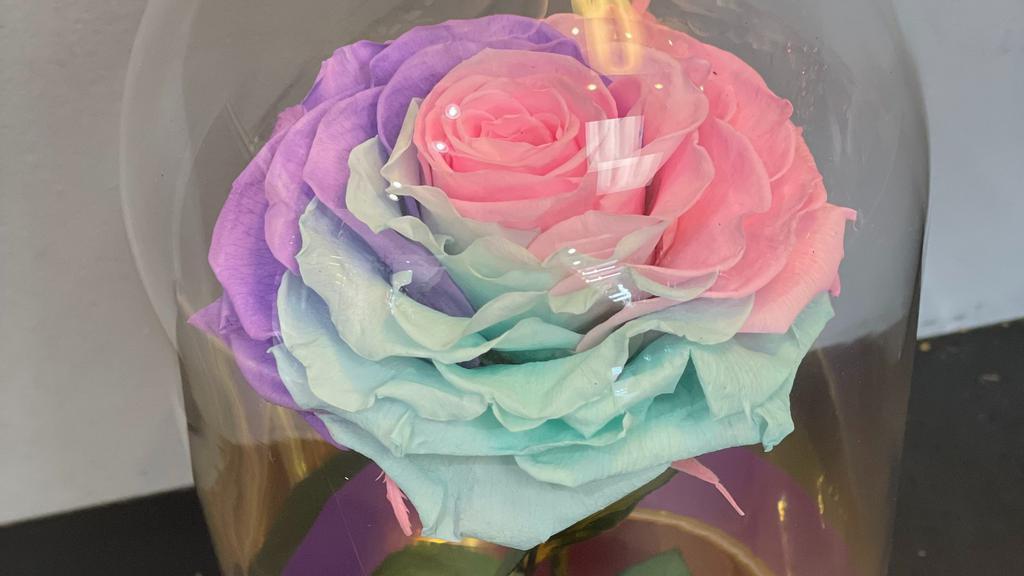 Beauty And The Beast Rainbow · Beautiful beauty and the beast Preserved Rose. Roses that las a year!