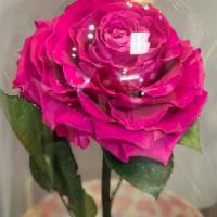 Beauty And The Beast Hot Pink · Check out our Beauty and the Beast in a Glass dome 
Roses that las a year! Ready to be ship