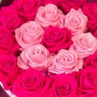 Light And Hot Pink Preserved Roses · Natural Roses that last a year, carefully preserved and artfully arranged in a luxury box.

...