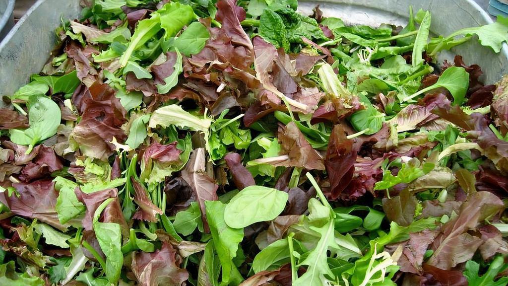 Organic Baby Spring Mix Salad (Regular) · 